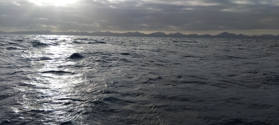 <b>IMG_20251109_170207</b>