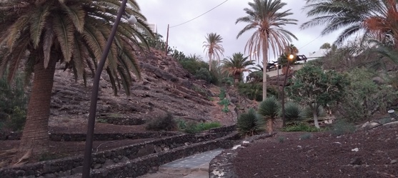 <b>IMG_20251110_180635</b>