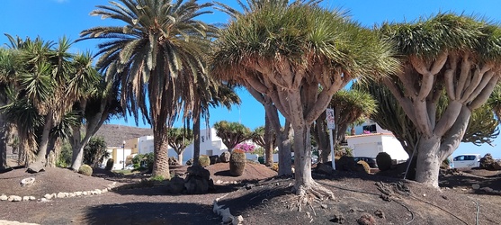 <b>IMG_20251111_123310</b>