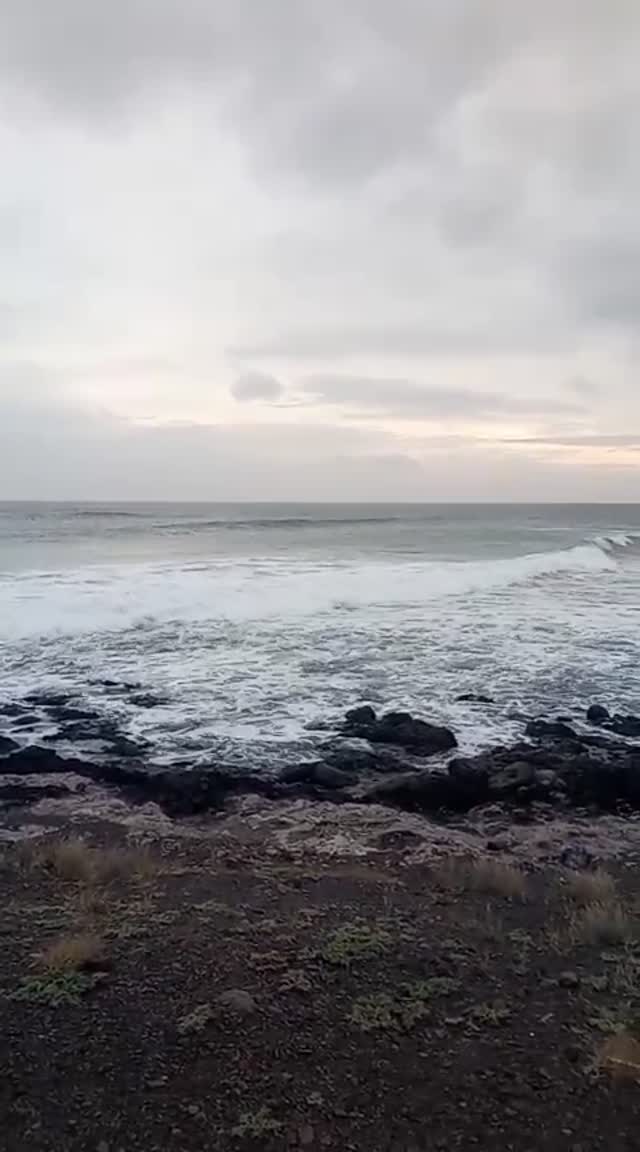 WhatsApp Video 2025-12-09 at 21.16.39