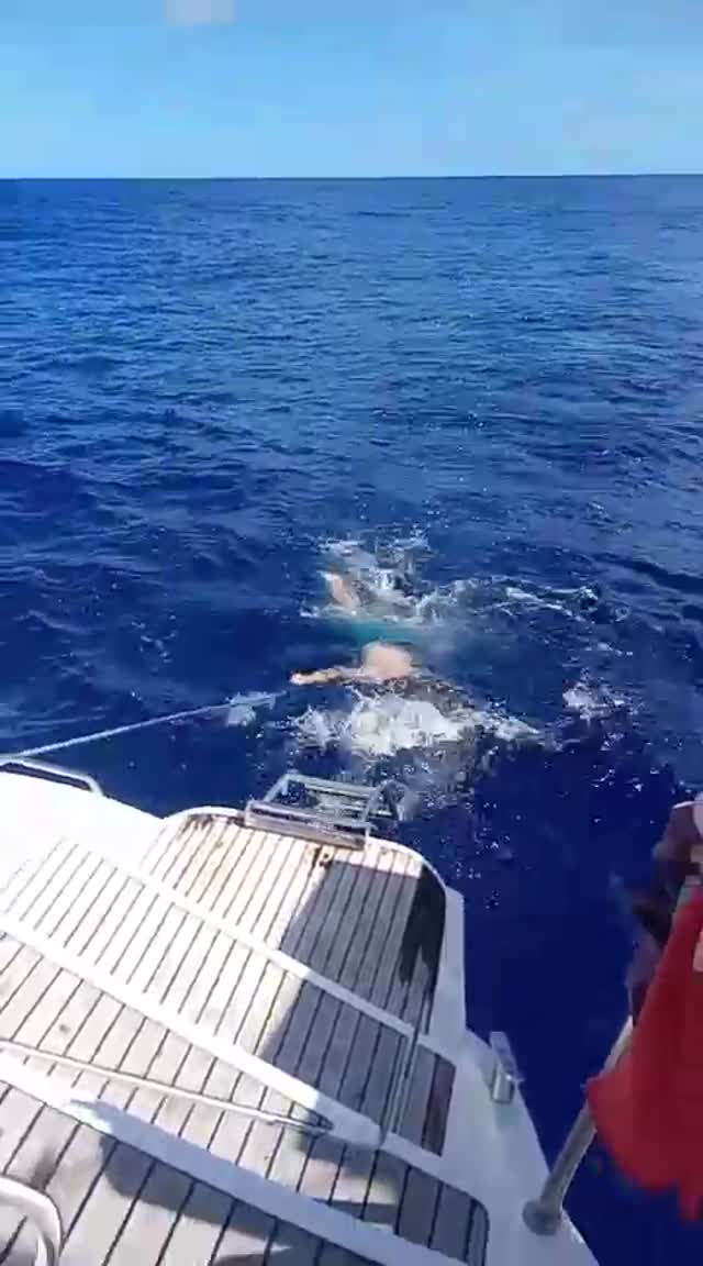 WhatsApp Video 2025-12-27 at 12.57.35