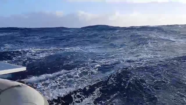 WhatsApp Video 2025-12-27 at 18.45.40